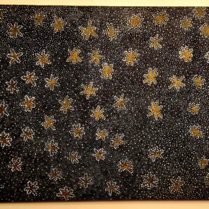 Dorithy Kunoth acrylic/canvas ''Bush Medicine'' genuine piece of Australian Aboriginal Art.
