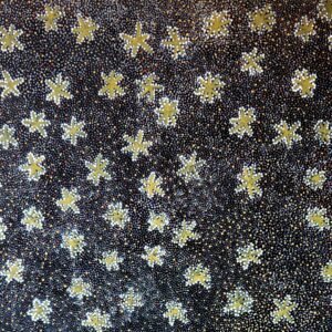 Dorithy Kunoth acrylic/canvas ''Bush Medicine'' genuine piece of Australian Aboriginal Art.