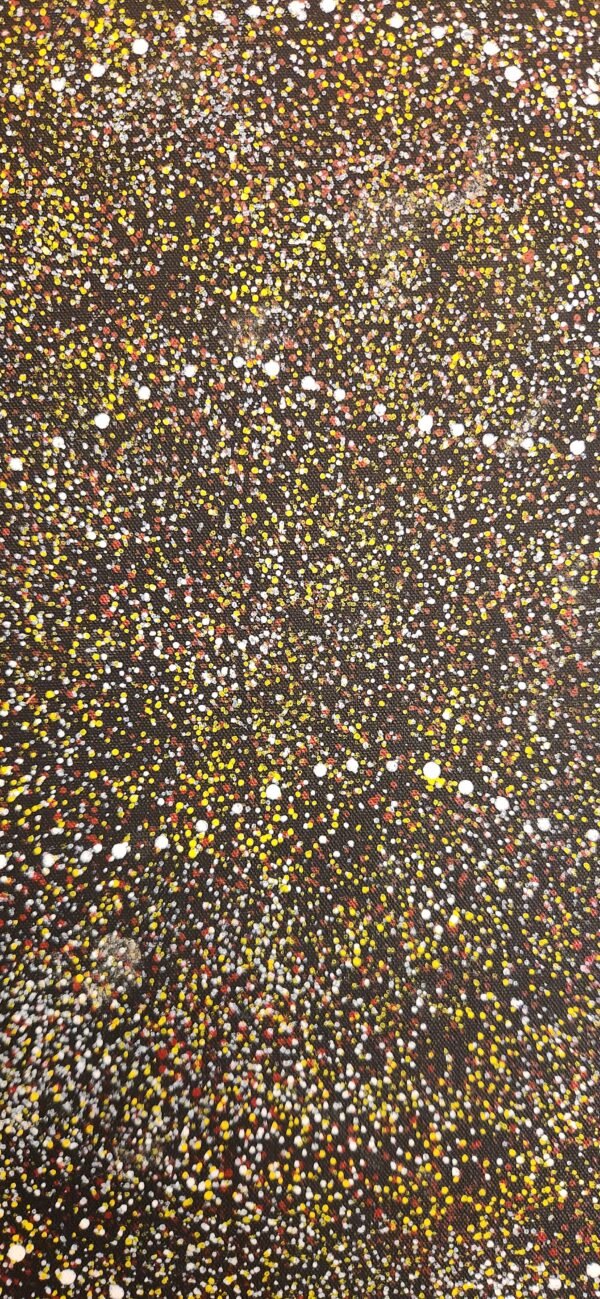Mary Rumble Petyarre, acrylic/canvas, "Bush Plum Dreaming," a genuine work of Australian Aboriginal art. - Image 3