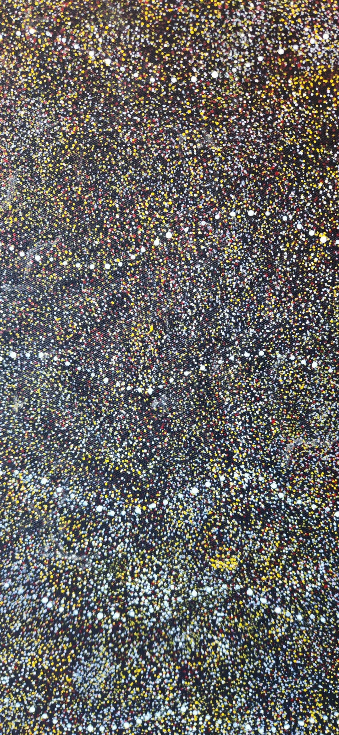 Mary Rumble Petyarre, acrylic/canvas, "Bush Plum Dreaming," a genuine work of Australian Aboriginal art. - Image 8