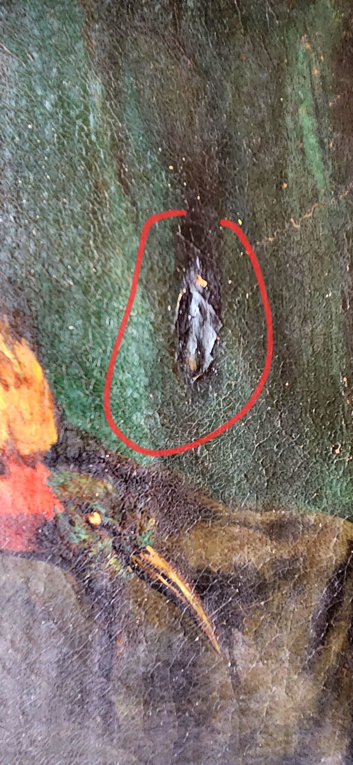 Antique painting on canvas Birds - Image 3