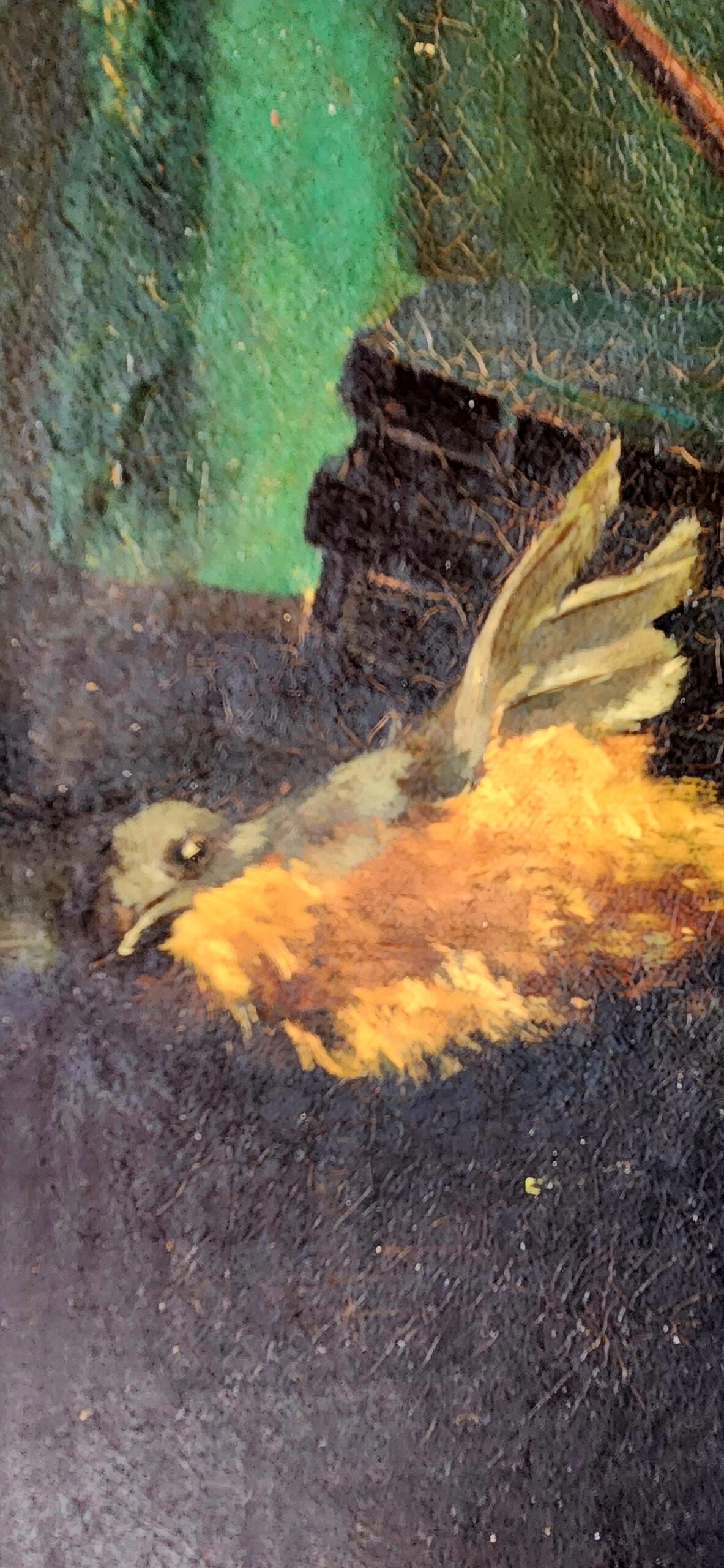 Antique painting on canvas Birds - Image 6